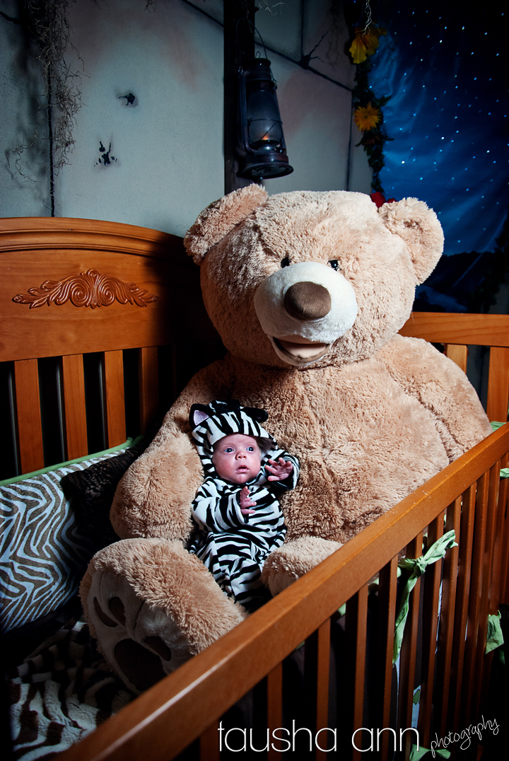 Themed Room Teddy Bear Zebra Baby Costume Halloween